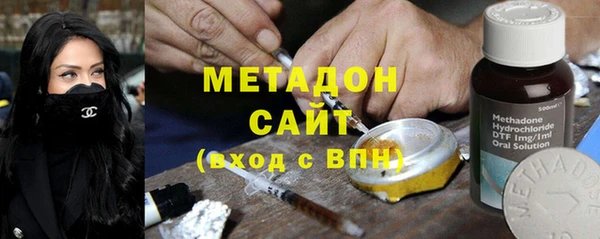 шишки Ельня