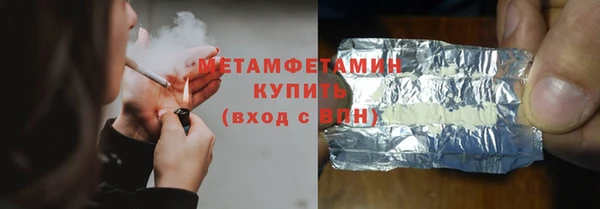 шишки Ельня