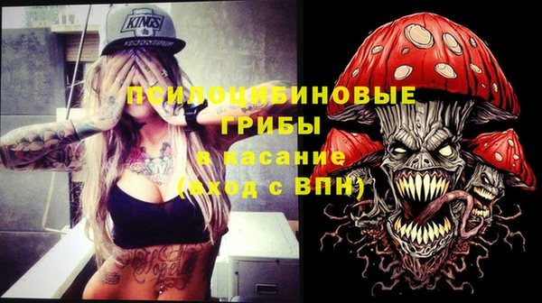 шишки Ельня