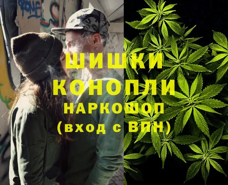 Марихуана SATIVA & INDICA  Гвардейск 